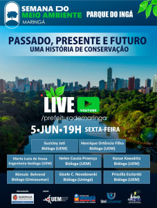 prefeitura-live