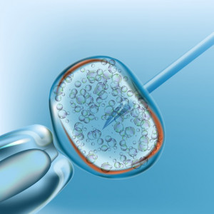 ivf-inseminacao-artificial-design-realista-3d200341-112