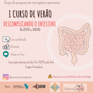 intestinocurso-veraouem