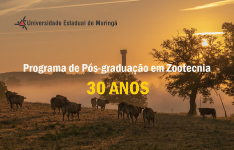 ppz30anos