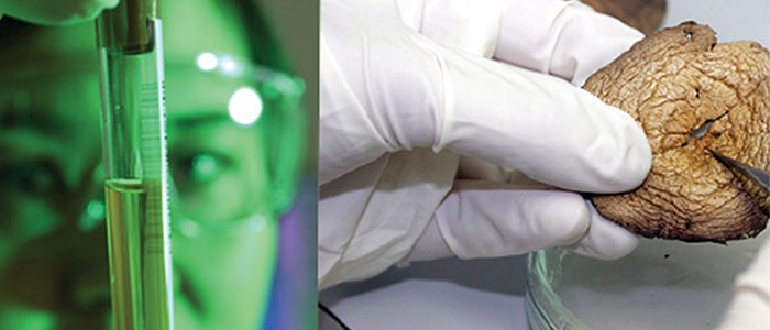 biologia-comparada biologia-comparada
