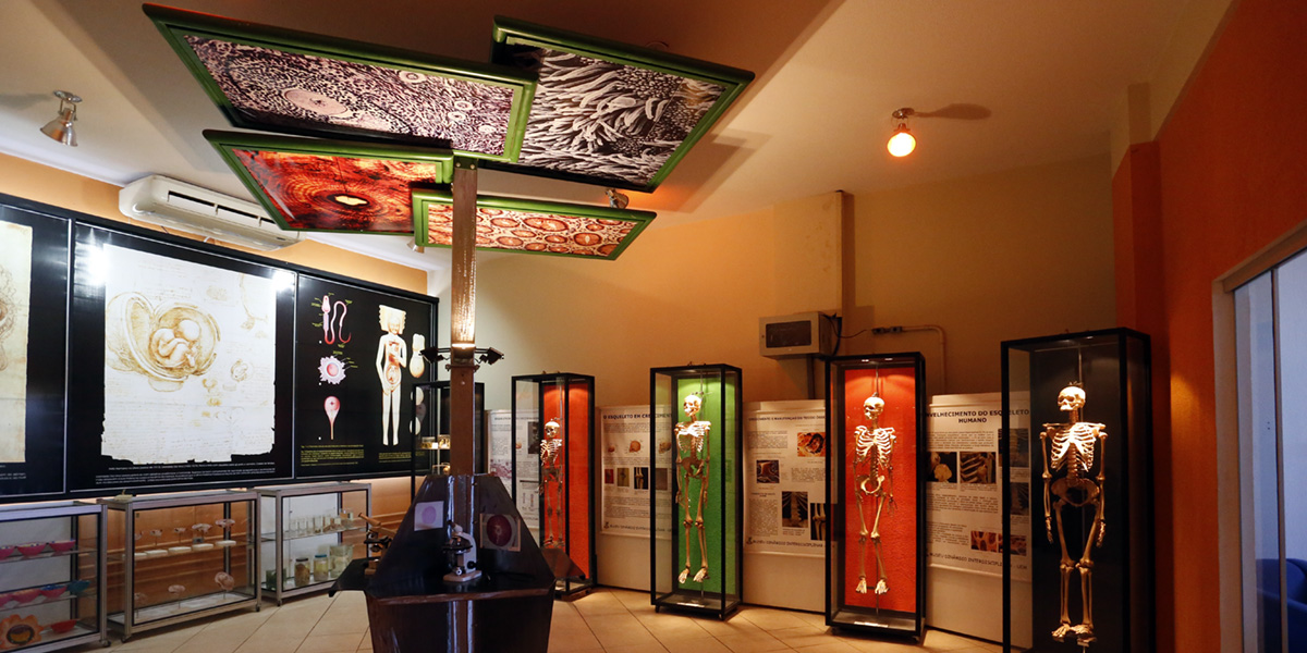 Museu Dinâmico Interdisciplinar