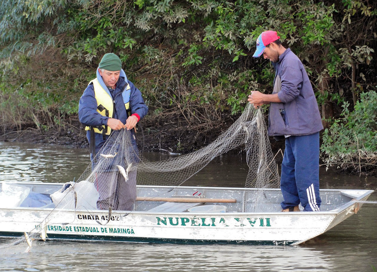 Human activities harm rivers and lakes, international research reveals