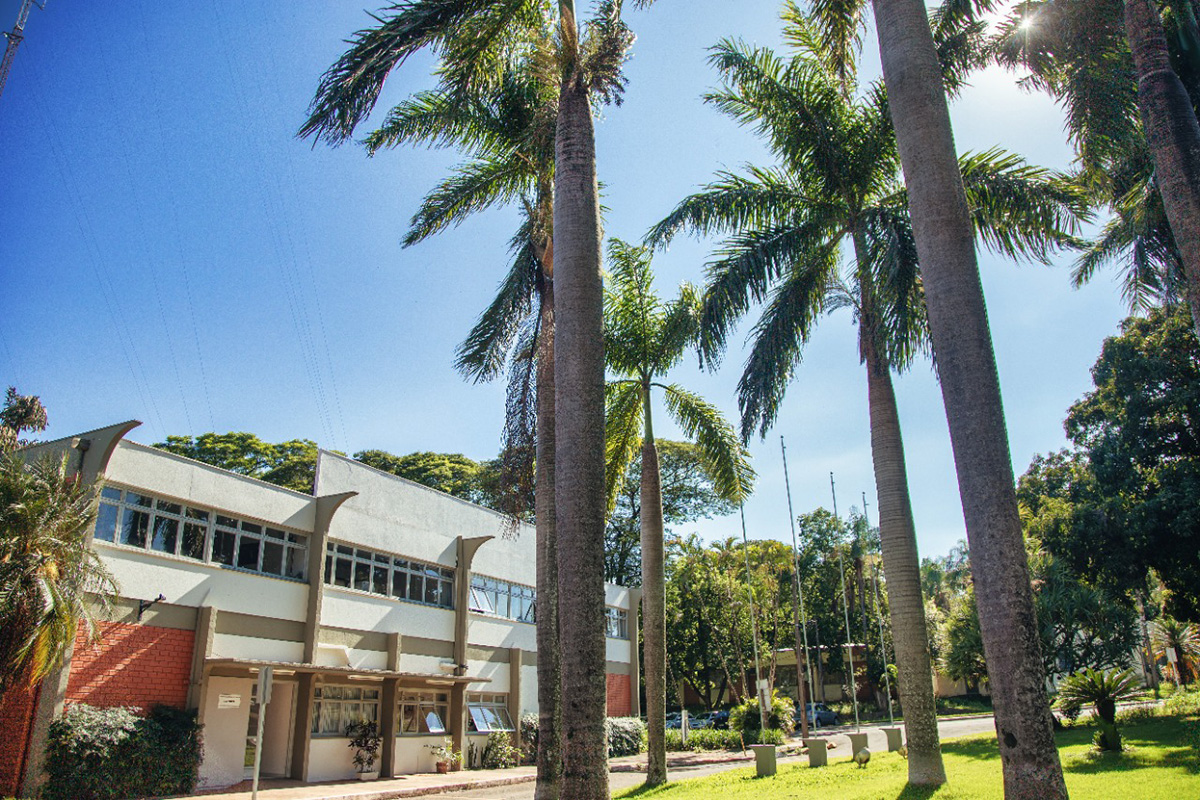 UEM recebe certificado internacional de universidade sustentável