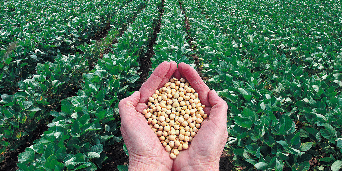 prof-agroecologia prof-agroecologia