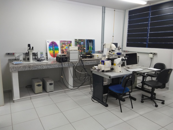 sala-confocal