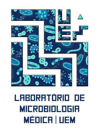 logo-oficial-lab-de-micro