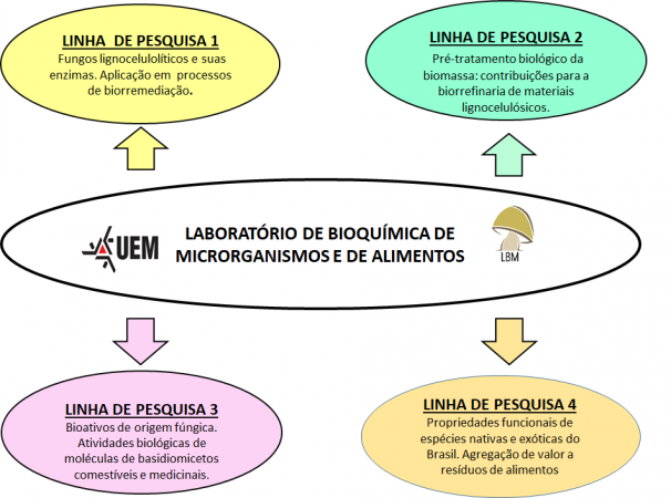 lbm-linhas-de-pesquisa