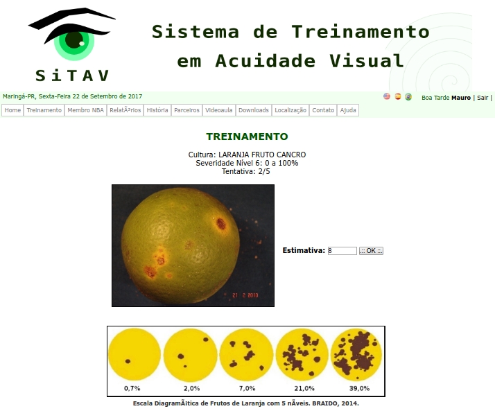 sitav-treinamento