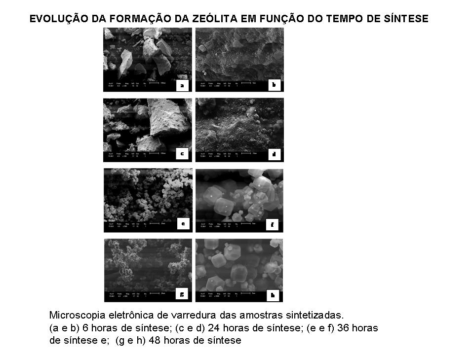 figura2-mev-nit