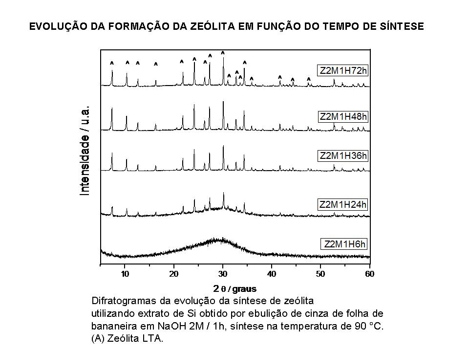 figura3drx-nit