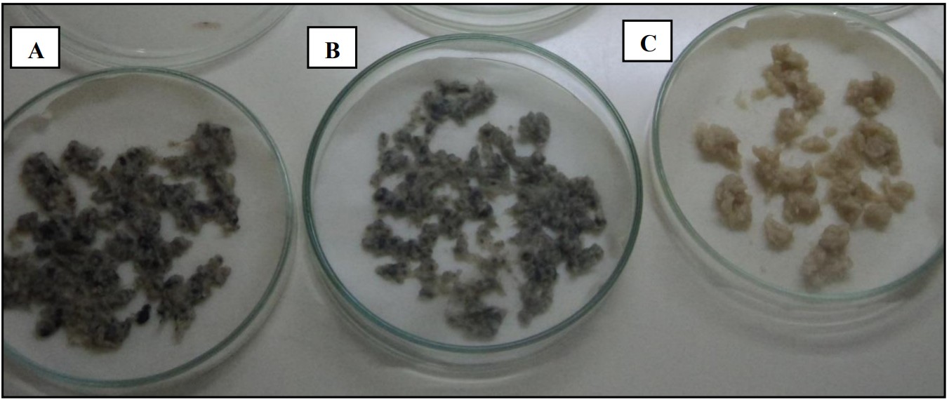 fig-3