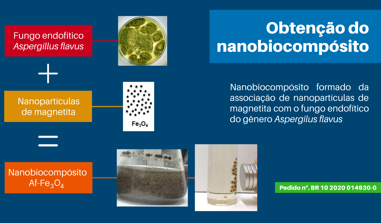 esquema-de-obtencao-do-nbc-andressa-1