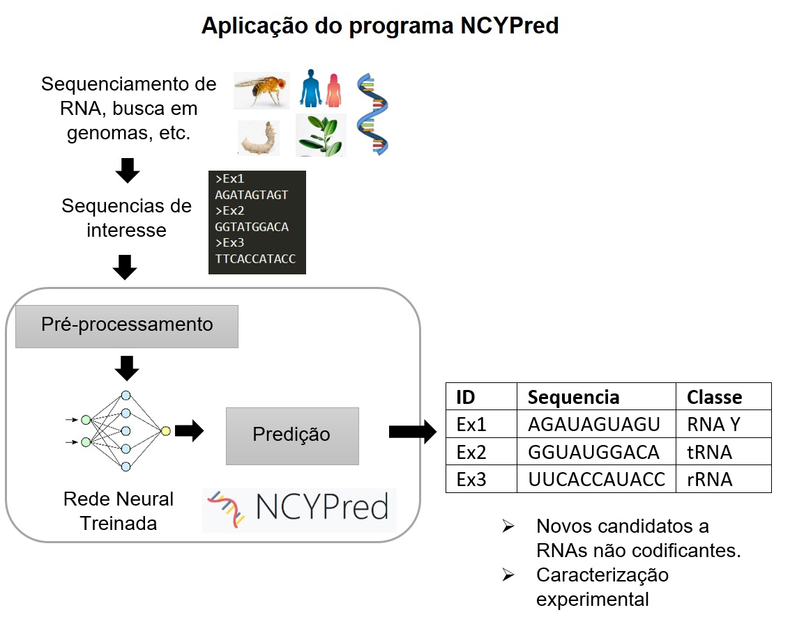 ncypred-imagem2