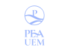 pea-negativo-02